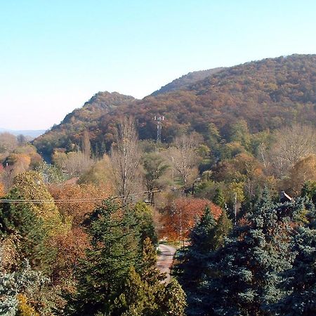 Vadregeny Panzio Bed & Breakfast Esztergom Exterior photo